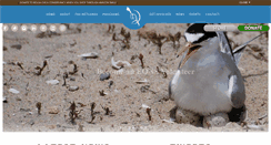 Desktop Screenshot of bolsachica.org